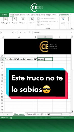 Automatiza tu trabajo con Excel: Trucos y Tips Profesionales