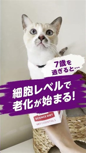 こんなにプリティーな見た目でも。