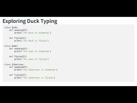 Introducing Duck Typing in Python