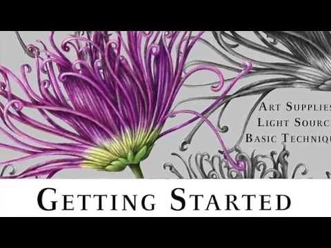 Getting Started with Botanical Drawing