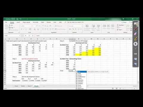 Basic Chain Ladder Method