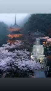 Buddhism in Japan 🇯🇵🇯🇵🇯🇵 | Buddhism in The World
