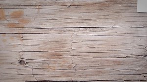 How To Add To An Array Javascript