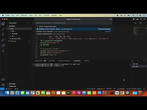 Panda Import Not Working in Python Using Visual Studio Code on Mac