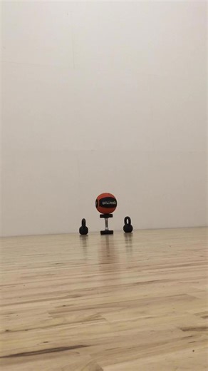 One-Legged Squats on a Basketball