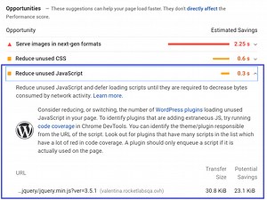 How to Remove Unused JavaScript on WordPress