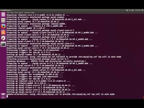 How to Install MySQL Server on Linux