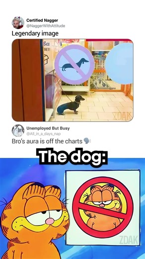 The Dog BE LIKE !!! #coding #programming #python #javascript