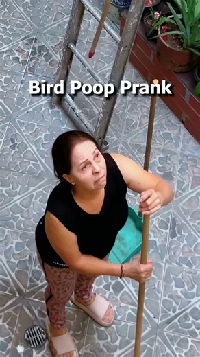 Bird Poop Prank #funny #bird #poop #prank