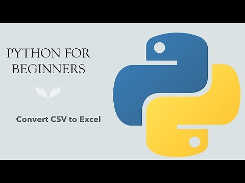 #34 Python for Beginners: Convert CSV to Excel using Python