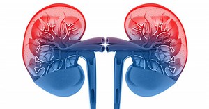 Tests for kidney disease