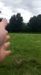 Bro!! Credit: @Gareth Norville Downs (Facebook) | Fails