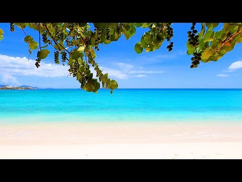 Pure Bliss: 6 Hours of Soothing Beach Scenery (4K Video)