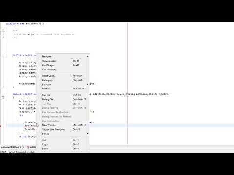 Edit a Record in a CSV/txt File Java