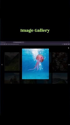 Create Image Gallery project using html CSS and JS | JavaScript Projects