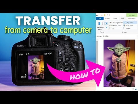 How to Transfer Files from Your Digital Camera to Your Computer
