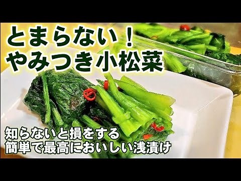 It's a buzz! Easy and tastier than Nozawana! Komatsuna lightly pickled / Prepared recipe / Side d...