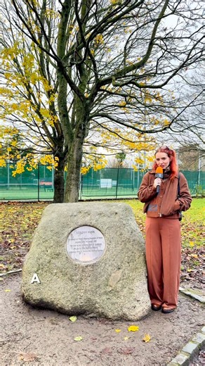 A controversial Dublin City Council proposal to rename Herzog Park will be withdrawn. The park was named after the president of Israel Chaim Herzog in 1995. Justice Minister Jim O Callaghan said renaming the park would unfairly suggest Irish Jews are responsible for the appalling actions of the current Israeli Government. The Taoiseach described the motion as overtly divisive and wrong. Sinn Fein and Social Democrats however were in support of a name change. The Independent group said that it wo