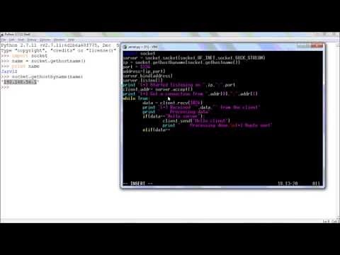 Python Networking : TCP socket tutorial | Client and Server model using python