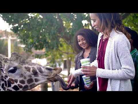 Metro Richmond Zoo