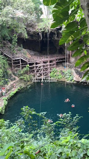 Découvrez le Cenote Zaci à Valladolid : un trésor caché !