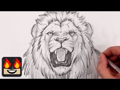How To Draw a Lion | Step by Step Sketch Tutorial