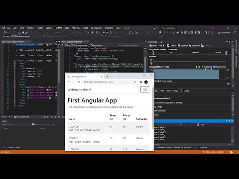 Angular in Visual Studio 2019 | ASP.NET Core 3 Getting Started