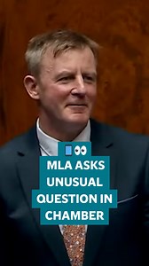 SDLP MLA accuses someone of stealing mobile phone 👀 | Belfast Telegraph