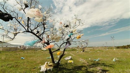 The world’s plastic pollution crisis, explained