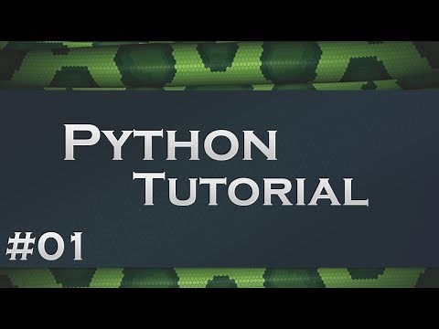 Python #1 - Die Grundlagen