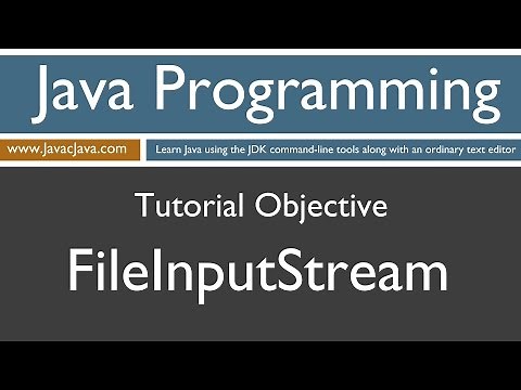Learn Java Programming - FileInputStream Tutorial