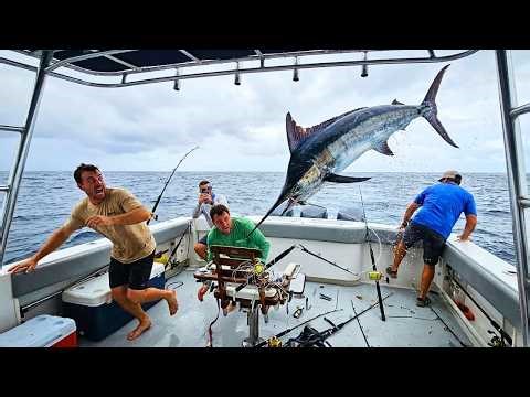 49 Blue Marlin Fights That Nobody Was Ready For