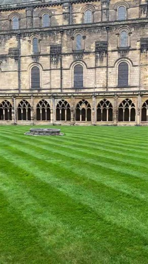 Reliving the Philosopher’s Stone | Iconic Harry Potter Scenes