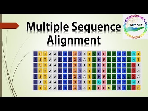 Multiple Sequence Alignment