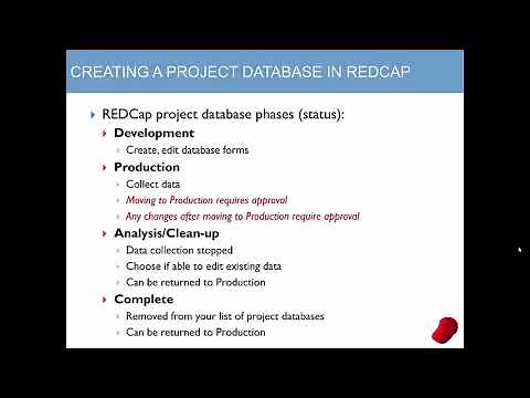 1 REDCap Background Information