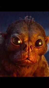 Most wholesome scene in Predator Badlands ❤️😂