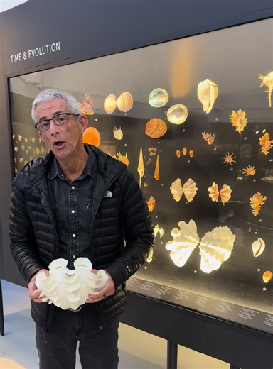 Explore the Best Shells for Learning