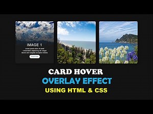 css card hover effects html css || card animation html css