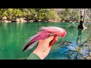 Fly Fishing Crystal Clear Water for a River Monster!! (Musky Fishing)