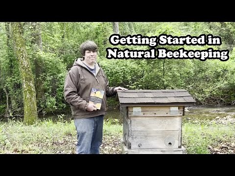 The Beginner's Guide to Natural Beekeeping