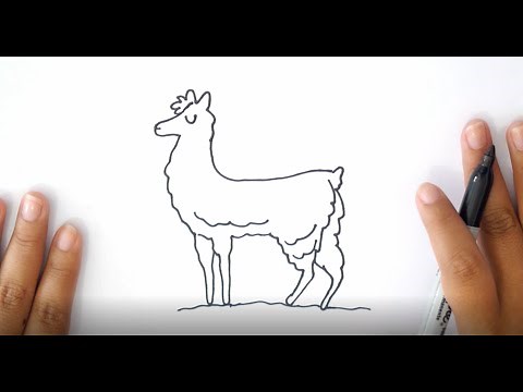 ¿Cómo Dibujar una LLAMA? 🦙 Dibujo de una LLAMA paso a paso 🦙