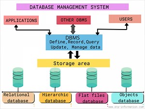 What is Database Management System (DBMS)? - Examples, Components