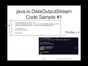 Data Structures Using Java: Binary Files