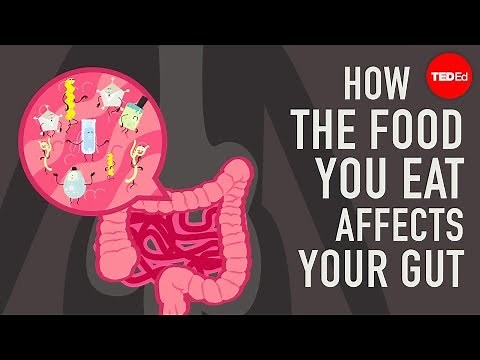 How the food you eat affects your gut - Shilpa Ravella