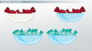Bivariate Distribution | Definition, Formula & Examples