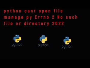 python cant open file manage py Errno 2 No such file or directory