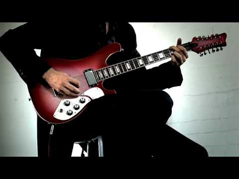 Schecter Official STARGAZER 12