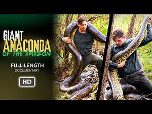 Giant Anaconda of the Amazon (2026) | Full Documentary