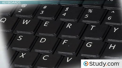 Computer Input Devices | Types, Function & Examples