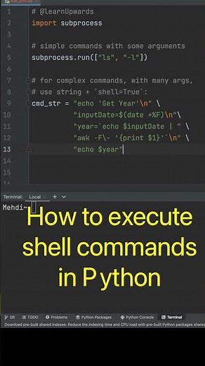 Python execute shell commands